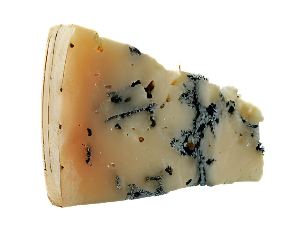 Gorgonzola